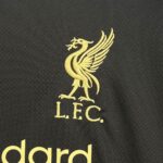 Mens Liverpool 2025/26 Black Gold Edition Jersey 5