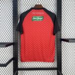 Mens CD Palestino 2025/26 Third Jersey 1