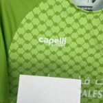 Mens CD Palestino 2025/26 Light Green Jersey 9