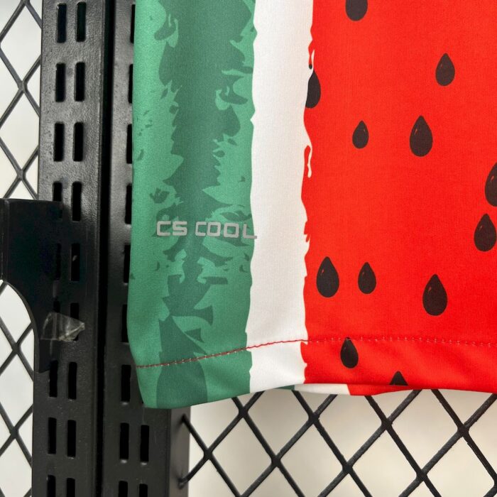 Mens CD Palestino 2025/26 Fourth Jersey 4