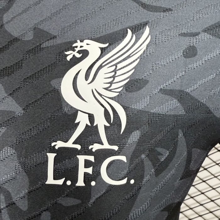 Mens Liverpool 2025/26 Jersey Player Version 5