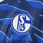 Mens FC Schalke 04 2025/26 Jersey 3
