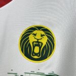 Mens Cameroon 2025/26 Third Jersey 4