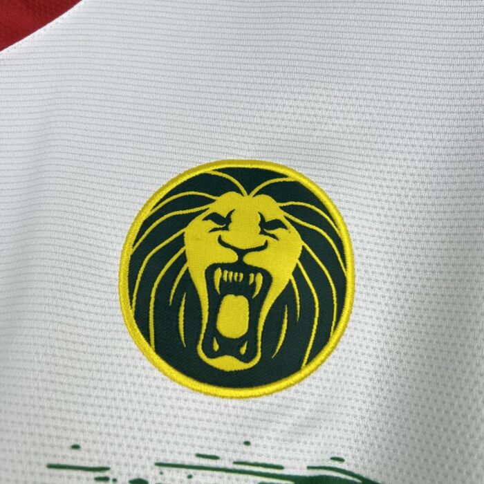 Mens Cameroon 2025/26 Third Jersey 4