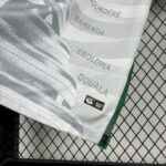 Mens Cameroon 2025/26 Third Jersey 3