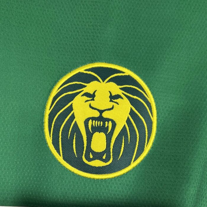 Mens Cameroon 2025/26 Home Jersey 4