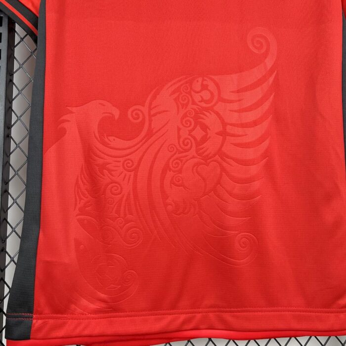Mens Albania 2025/26 Home Jersey 3
