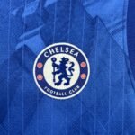 Mens Chelsea 2025/26 Vest blue Jersey 5