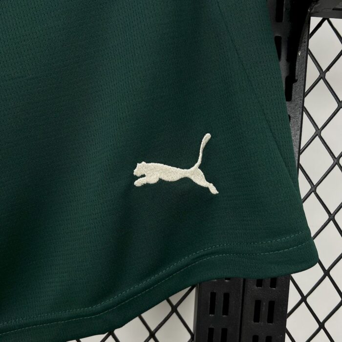 Mens Portugal 2025/26 Home Shorts 2