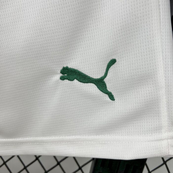 Mens Palmeiras 2025/26 Home Shorts 2