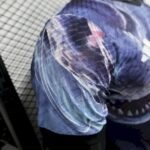 Mens Japan 2025/26 Pre-Match Jersey Player Version 4