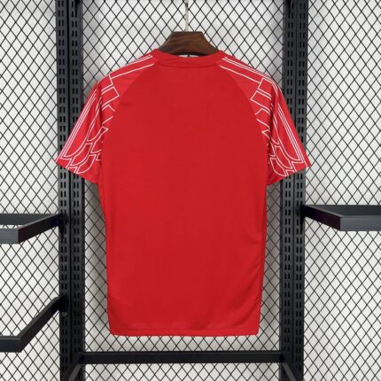 Mens Paris Saint-Germain 2024/25 Fourth Red Jersey 1