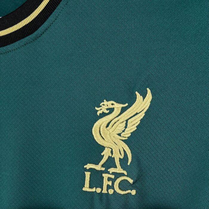 Mens Liverpool 2025/26 Jordan Concept Jersey 4