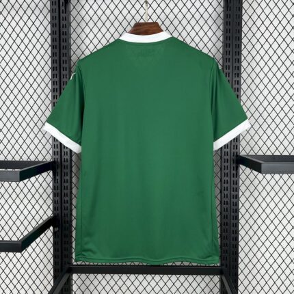 Mens Palmeiras 2025/26 Home Jersey 1
