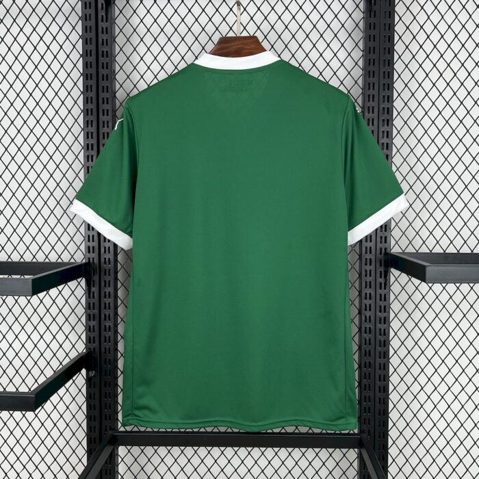Mens Palmeiras 2025/26 Home Jersey 1
