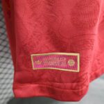 Mens Bayern Munich 2024/25 125 Anniversary Jersey Player Version 6