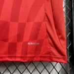 Aberdeen F.C. 2024/25 Home