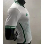 Algeria 2022 Home Jersey Player Version