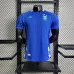 Argentina 2024/25 Away Jersey Player Version