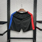 Barcelona 2024/25 Away Shorts