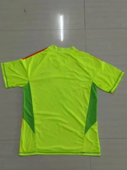 Bayern Munich 2024/25 Goalkeeper uniform Jersey
