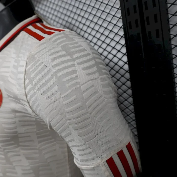 Bayern Munich 2024/25 Third Long Sleeves Jersey Player Version
