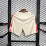 Bayern Munich 2024/25 Third Shorts