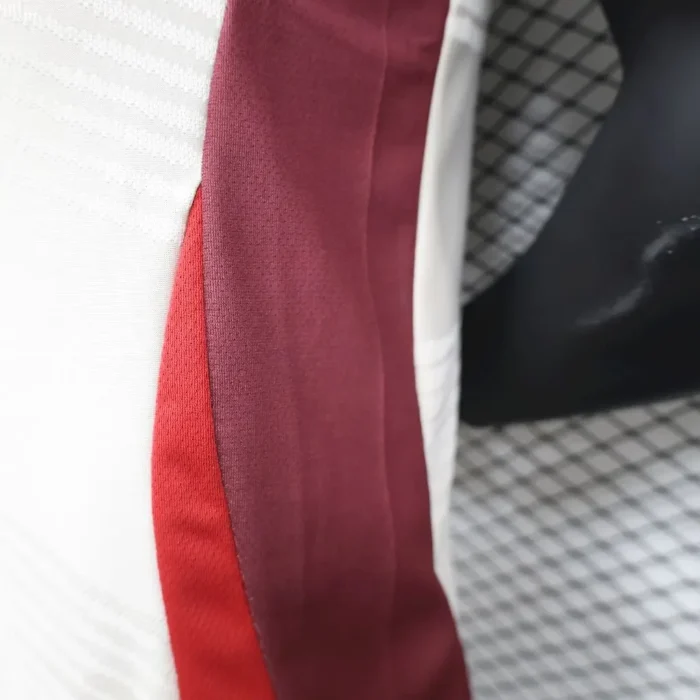 Bayern Munich 2024/25 Training Uniform Special Edition Jersey Player Version