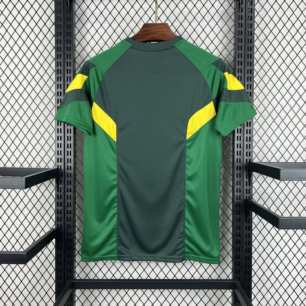 Celtic 2024/25 Special Edition Jersey
