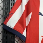 Chivas 2024/25 Home Jersey