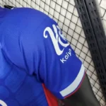 Crystal Palace 2023/24 Home Jersey Player Version