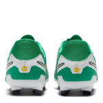 Nike Legend 10 Junior Firm Ground Football Boots – view 5