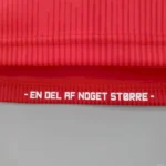 Denmark 2020 Home Jersey