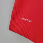 Denmark 2020 Home Jersey