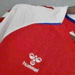 Denmark 2020 Home Jersey