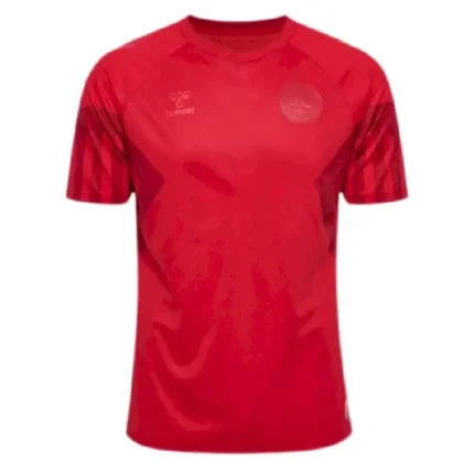 Denmark 2022 World Cup Home Jersey