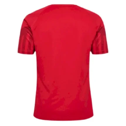 Denmark 2022 World Cup Home Jersey