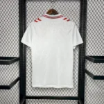 Denmark 2024/25 Euro Away Jersey