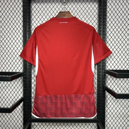 El Ahly 2023/24 Home Jersey