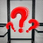 Fan Version Special Order