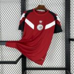 Mens Ajax 2024/25 Red Training Jersey