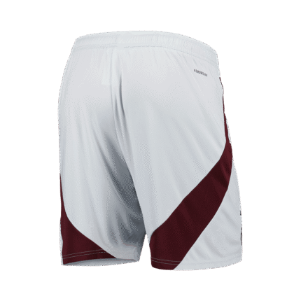 Mens Ajax 2024/25 Third Shorts