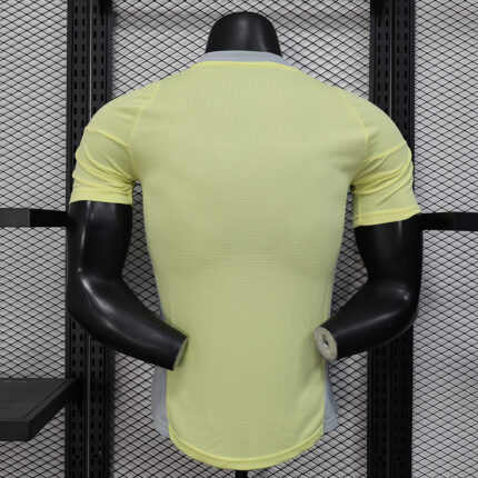 Mens Algeria 2025 special yellow player Jersey