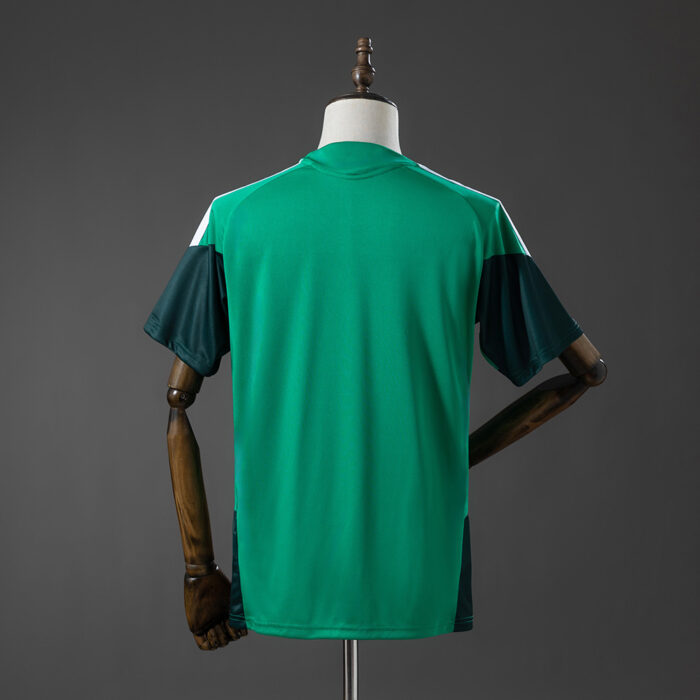 Mens Algeria 2026 World Cup Green Training Jersey
