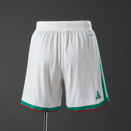 Mens Algeria 2026 World Cup Home Shorts Player Version