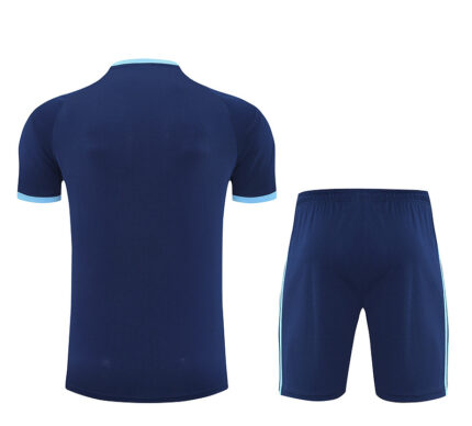 Mens Argentina 2025 Blue Training Jersey