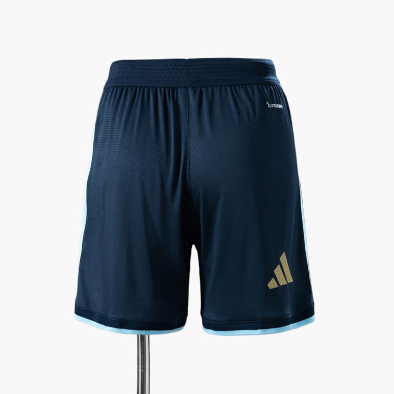 Mens Argentina 2026 World Cup Away World Cup Shorts Player Version
