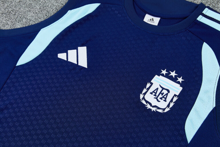 Mens Argentina 2026 World Cup World Cup Blue Training Vest