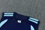 Mens Argentina 2026 World Cup Blue Training Vest