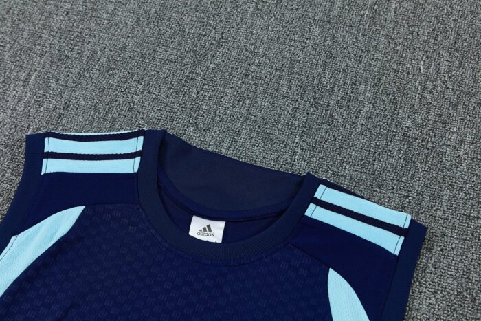 Mens Argentina 2026 World Cup Blue Training Vest